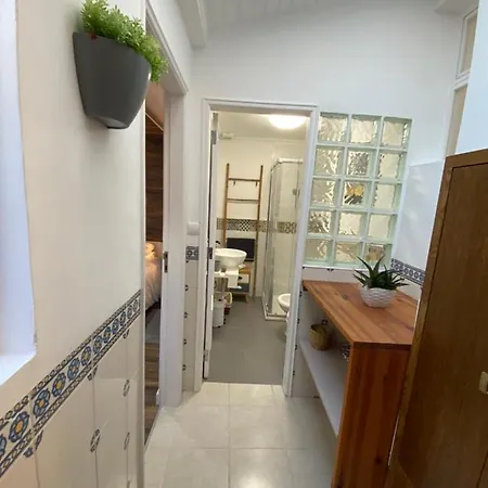 Lägenhet Flat Graca 48 *