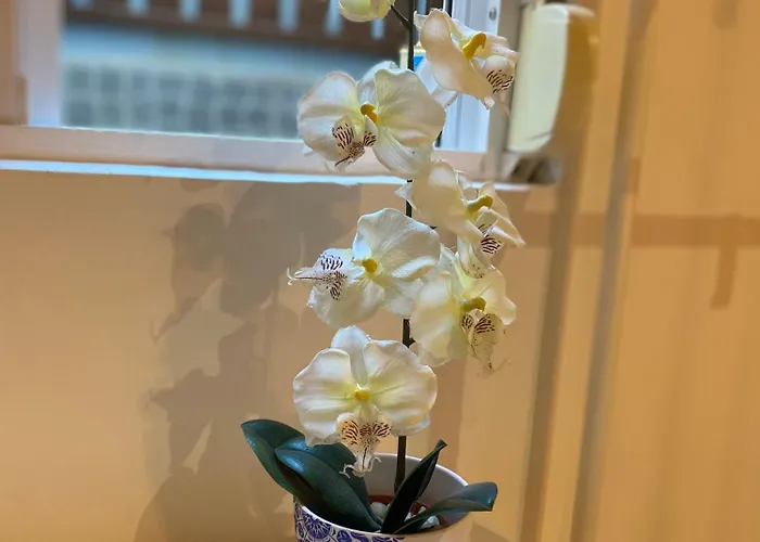 Flat Graca 48 Διαμέρισμα *