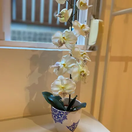 Flat Graca 48 Apartment *